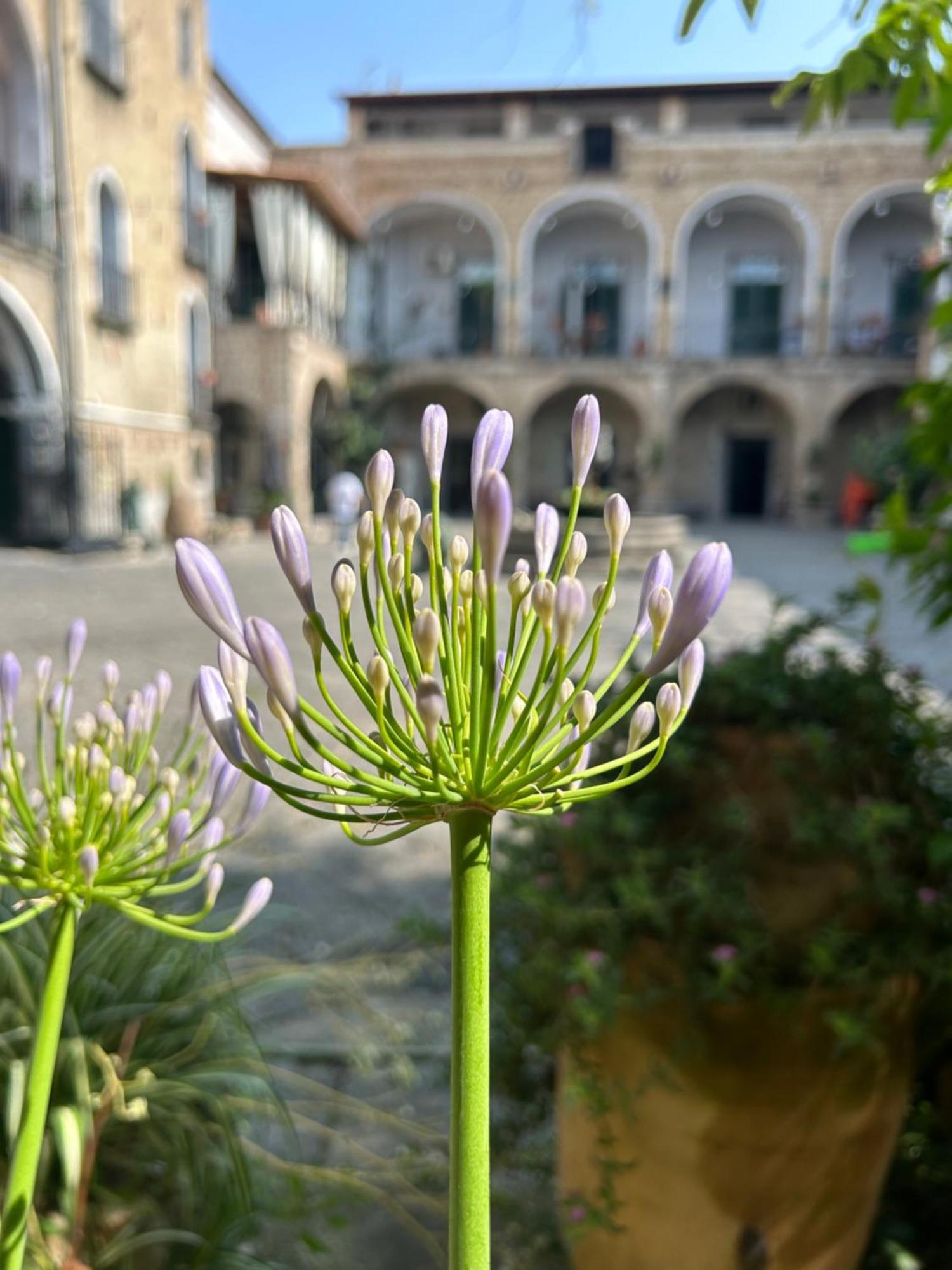 Palazzo Capece Caivano Exterior foto